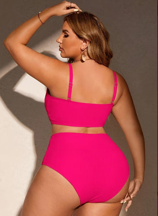 Sleek Solid High Waisted Bikini (Curve)